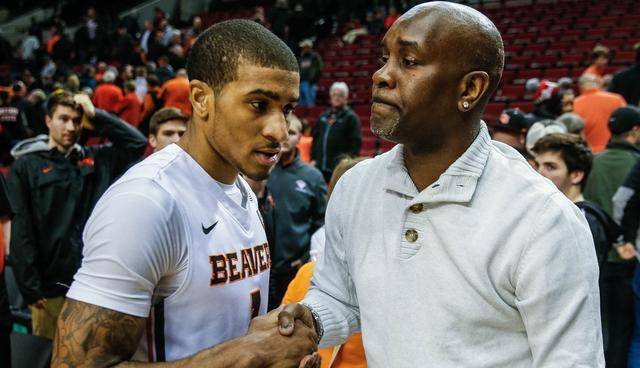 代化的电子 代化的电子