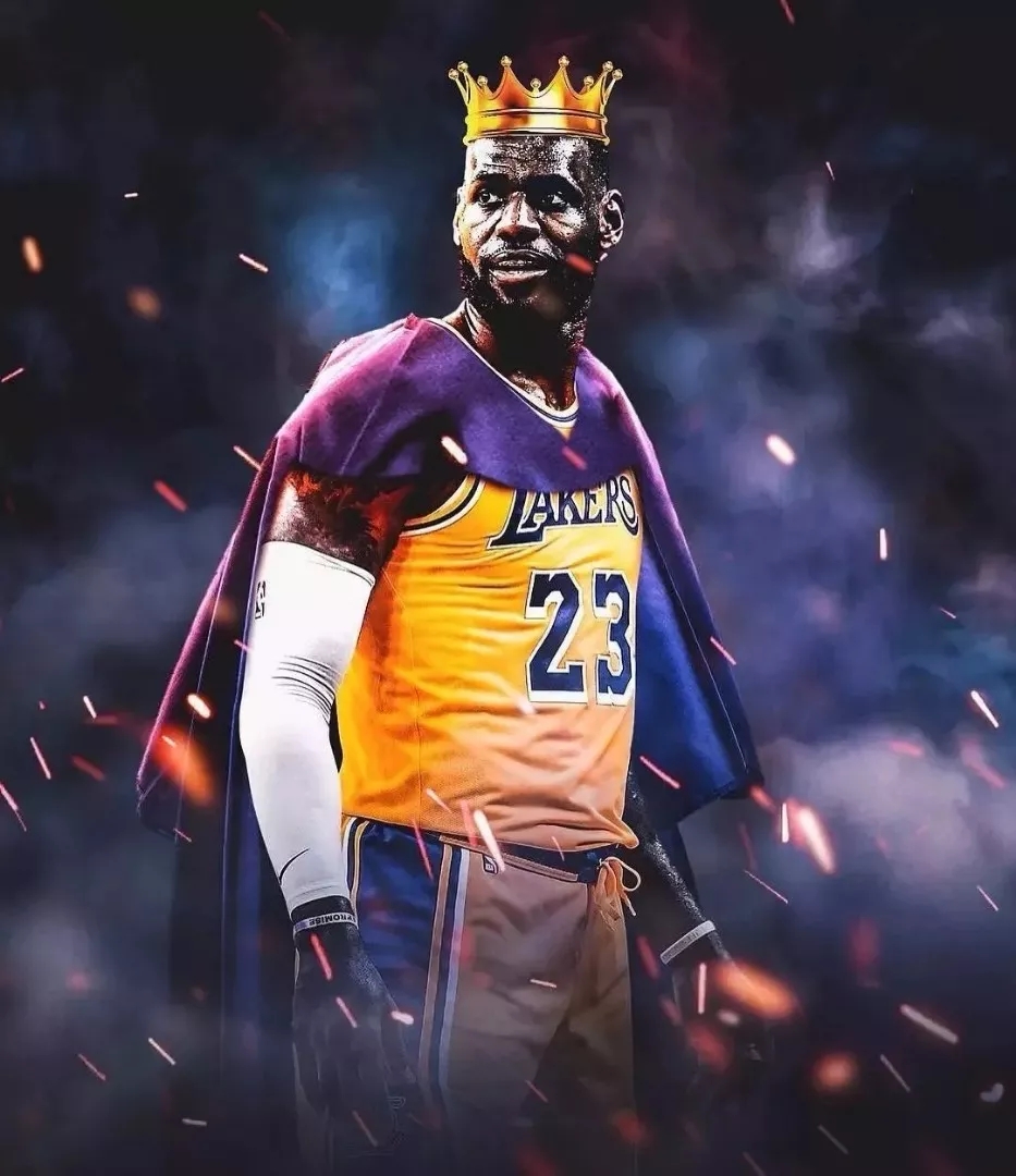 数据回路 数据回路