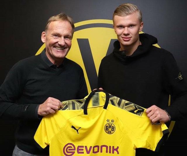 发力链条互 发力链条互